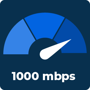 1000mbps