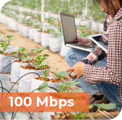 An image that says, "100 Mbps" and shows a young farmer in a greenhouse crouching by his crops on a laptop.