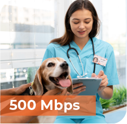 An image that says, "500 Mbps" and shows a happy looking dog being examined by a young veternarian tech on a tablet.