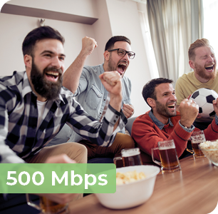 306 Pricing 500mb